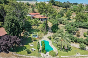 3 BD Luxurious villa with agriculture surroundings